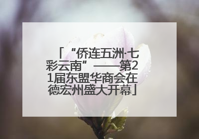 “侨连五洲·七彩云南”——第21届东盟华商会在德宏州盛大开幕